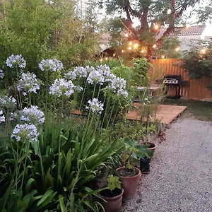 Les Bambous , Jardin , Terrasse , Climatisation , Wifi , Parking Villa Avignon